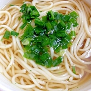 おネギたっぷり五島うどん